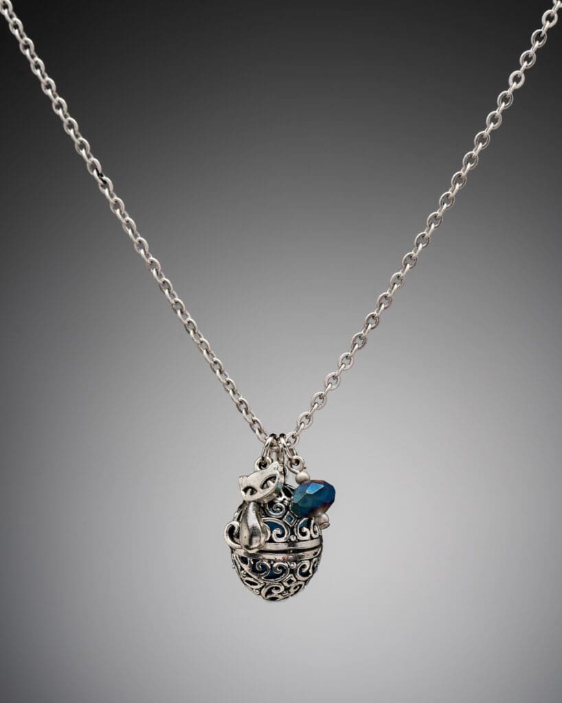 Photograph of silver necklace